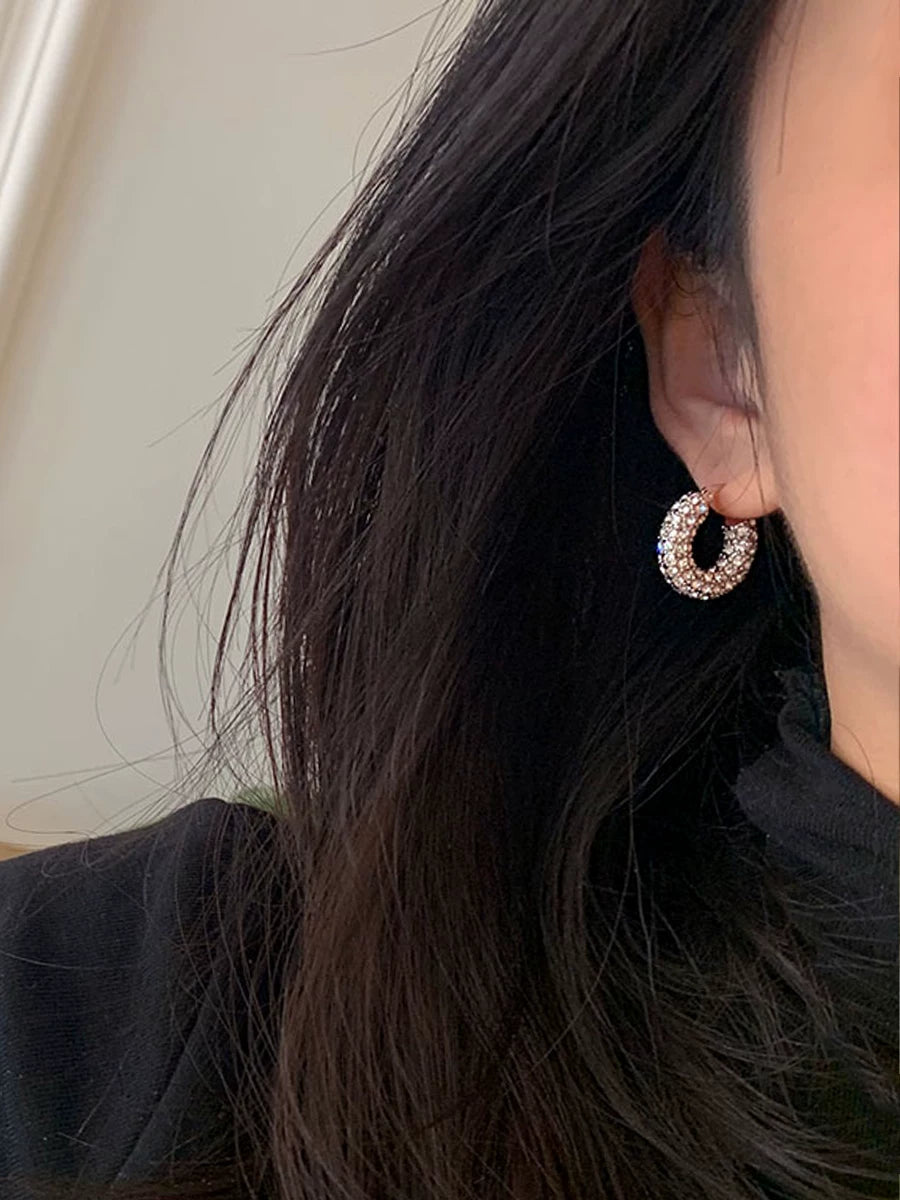 Detsccda | Luxury Full Diamond Thick Round Silver Earrings Hypoallergenic Statement Jewelry Women Sparkling Evening Party Fashion Accessory 2026